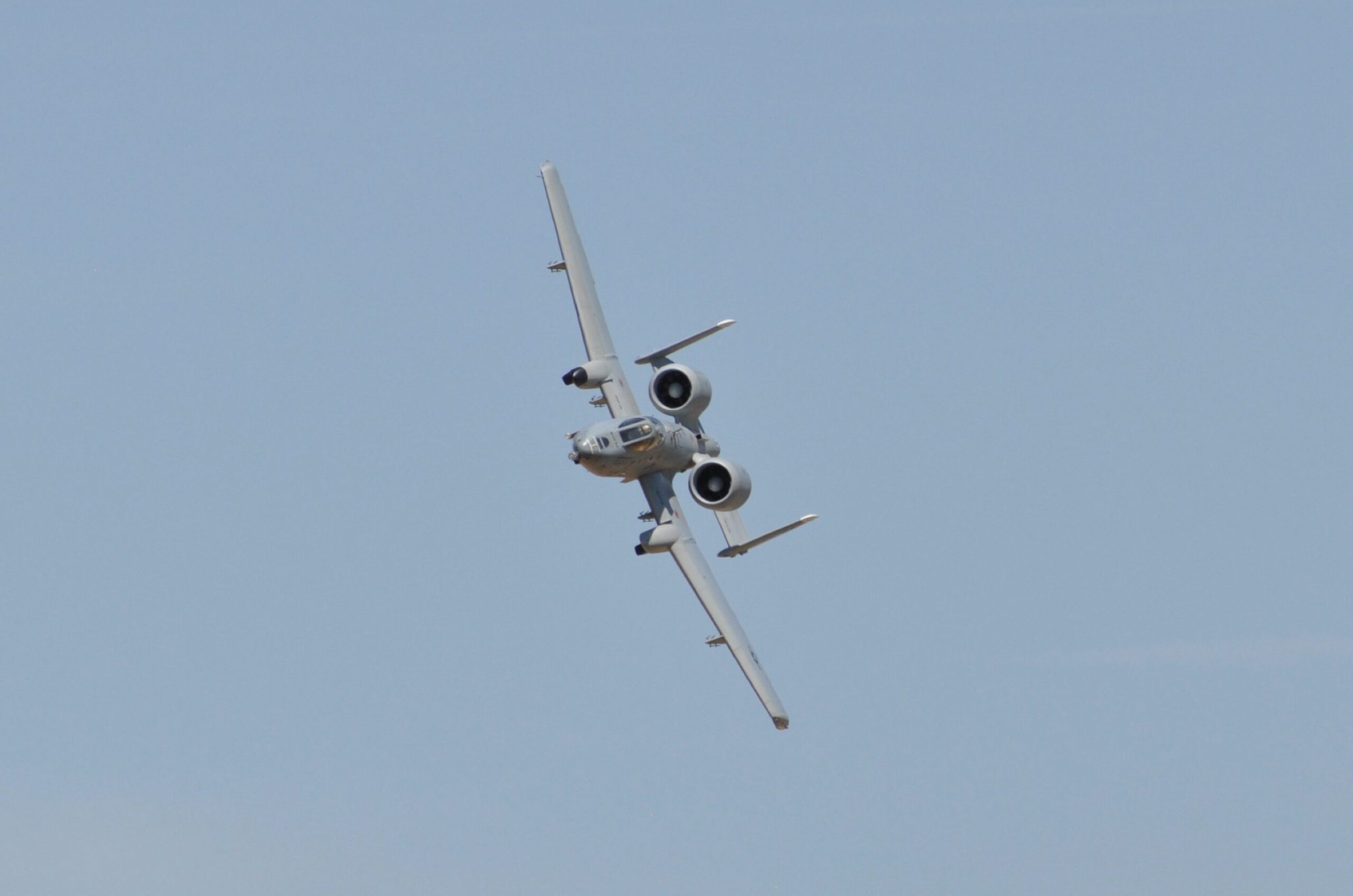 DSC_7918