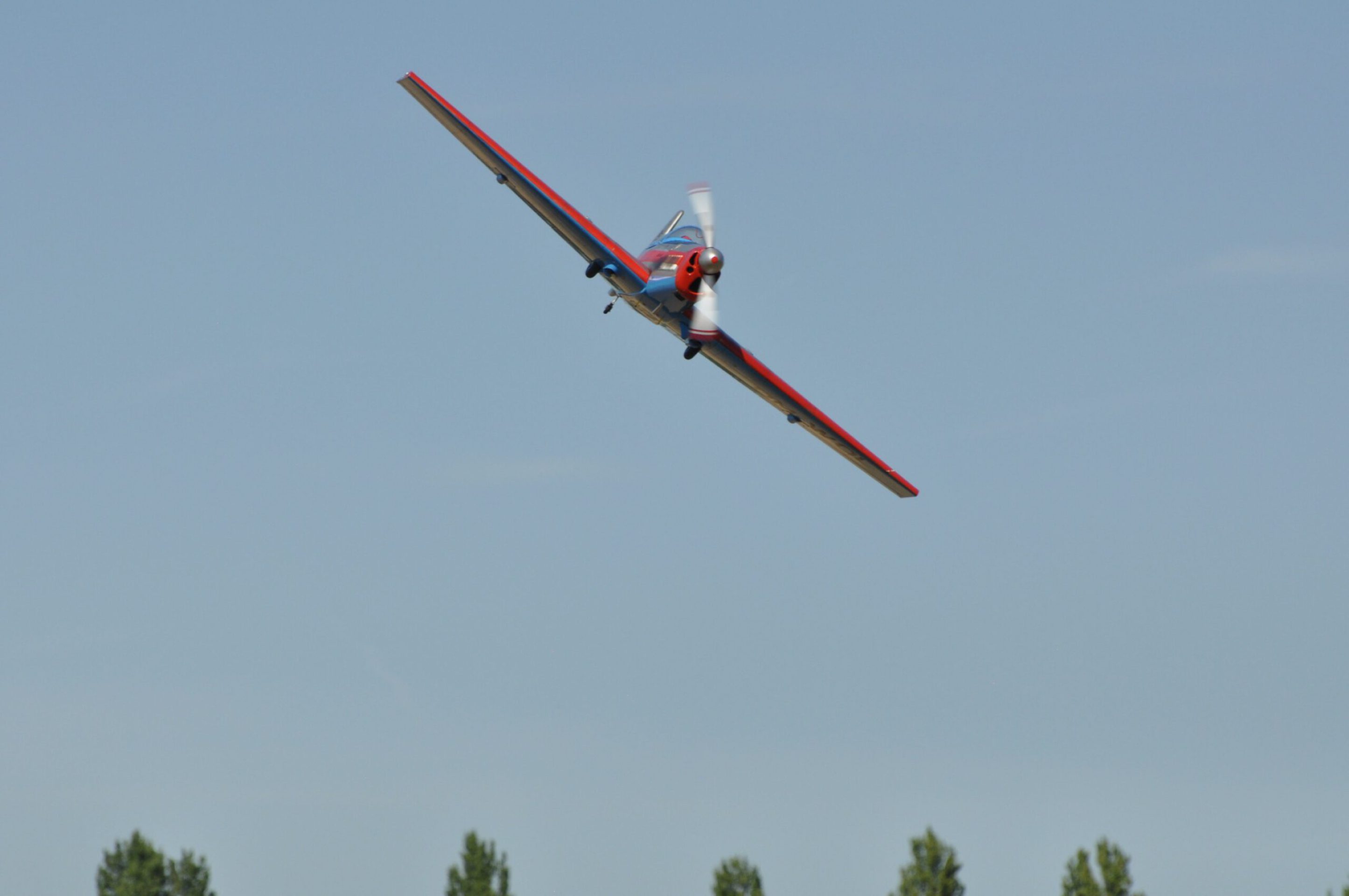 DSC_8465