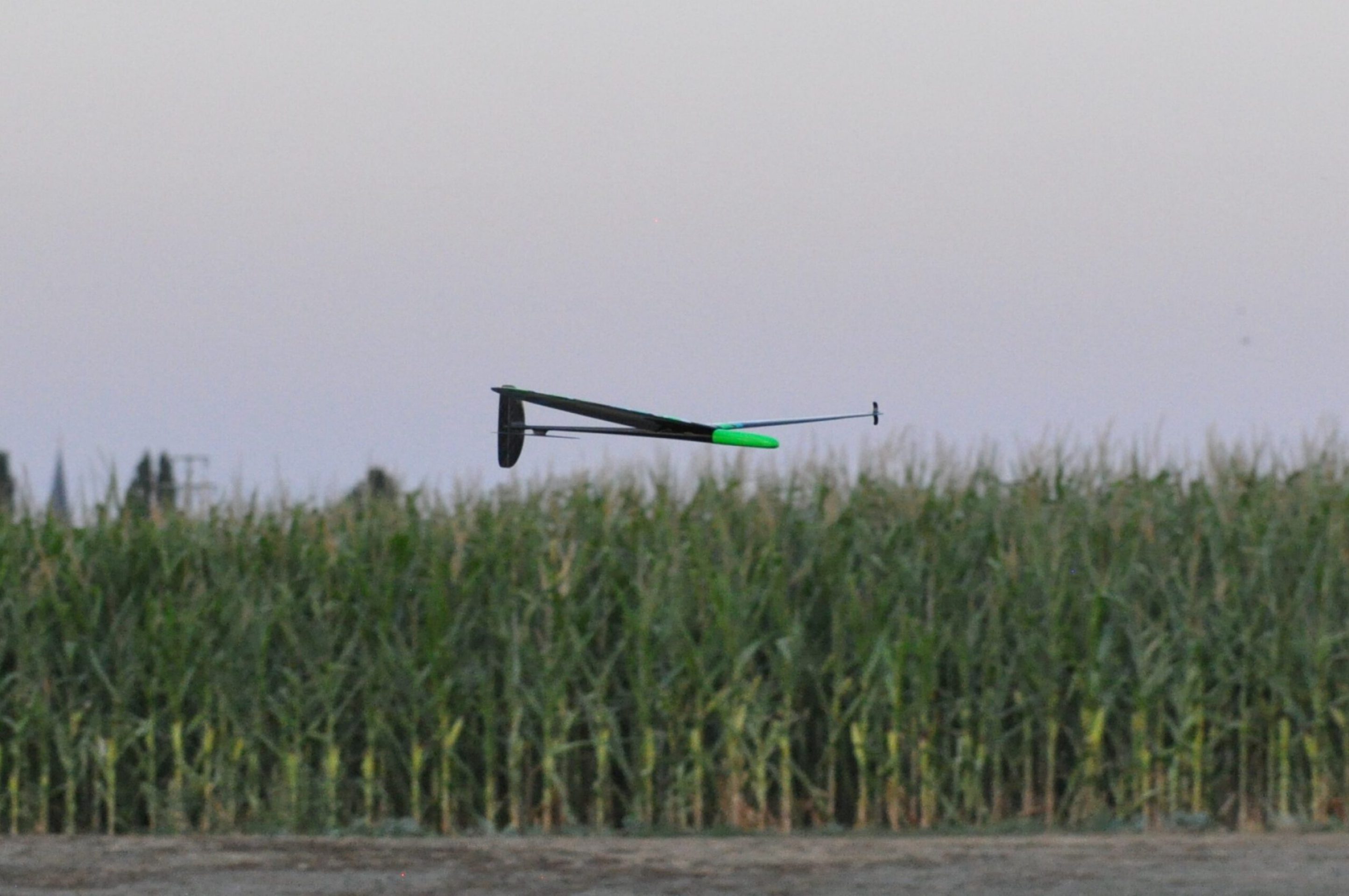 DSC_8529
